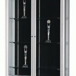 361_RadiusDispalyCase